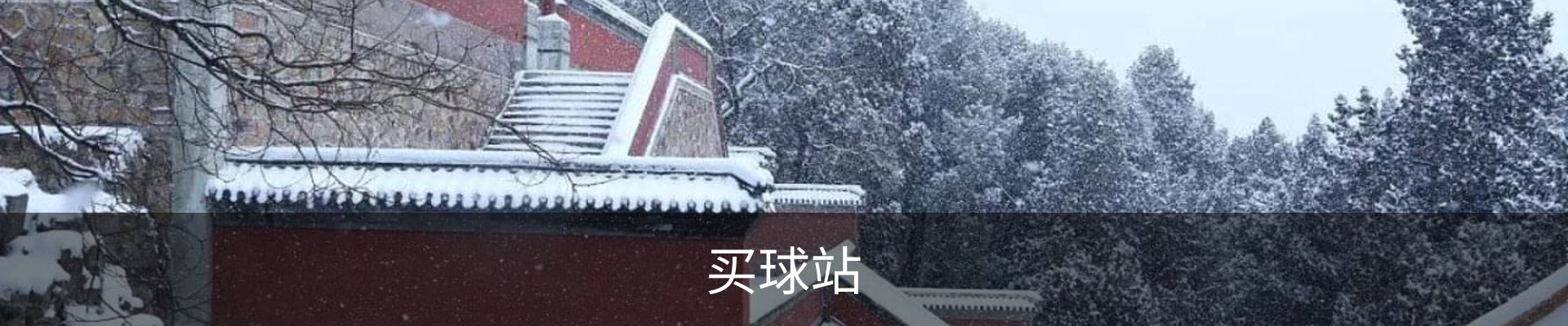 买球站·(中国)-专业的体育门户平台